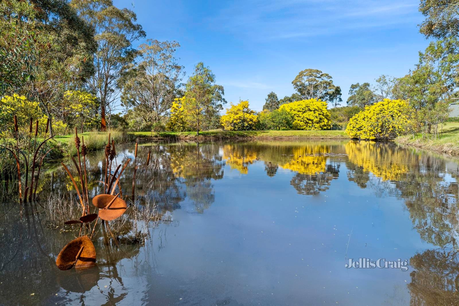 11 Sailors Reef Lane, Maldon image 17