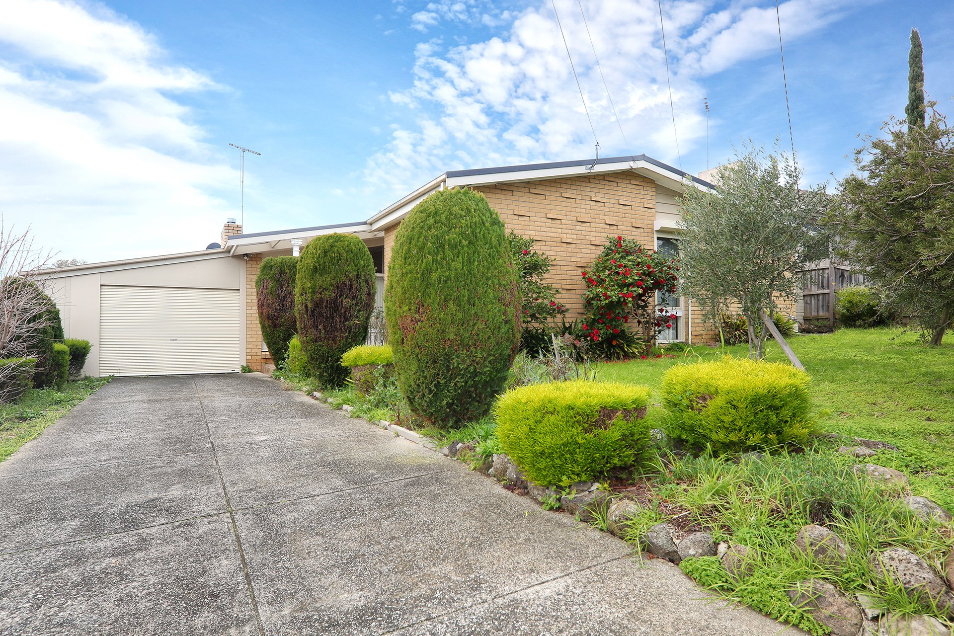 11 Tudor Road, Doncaster image 1