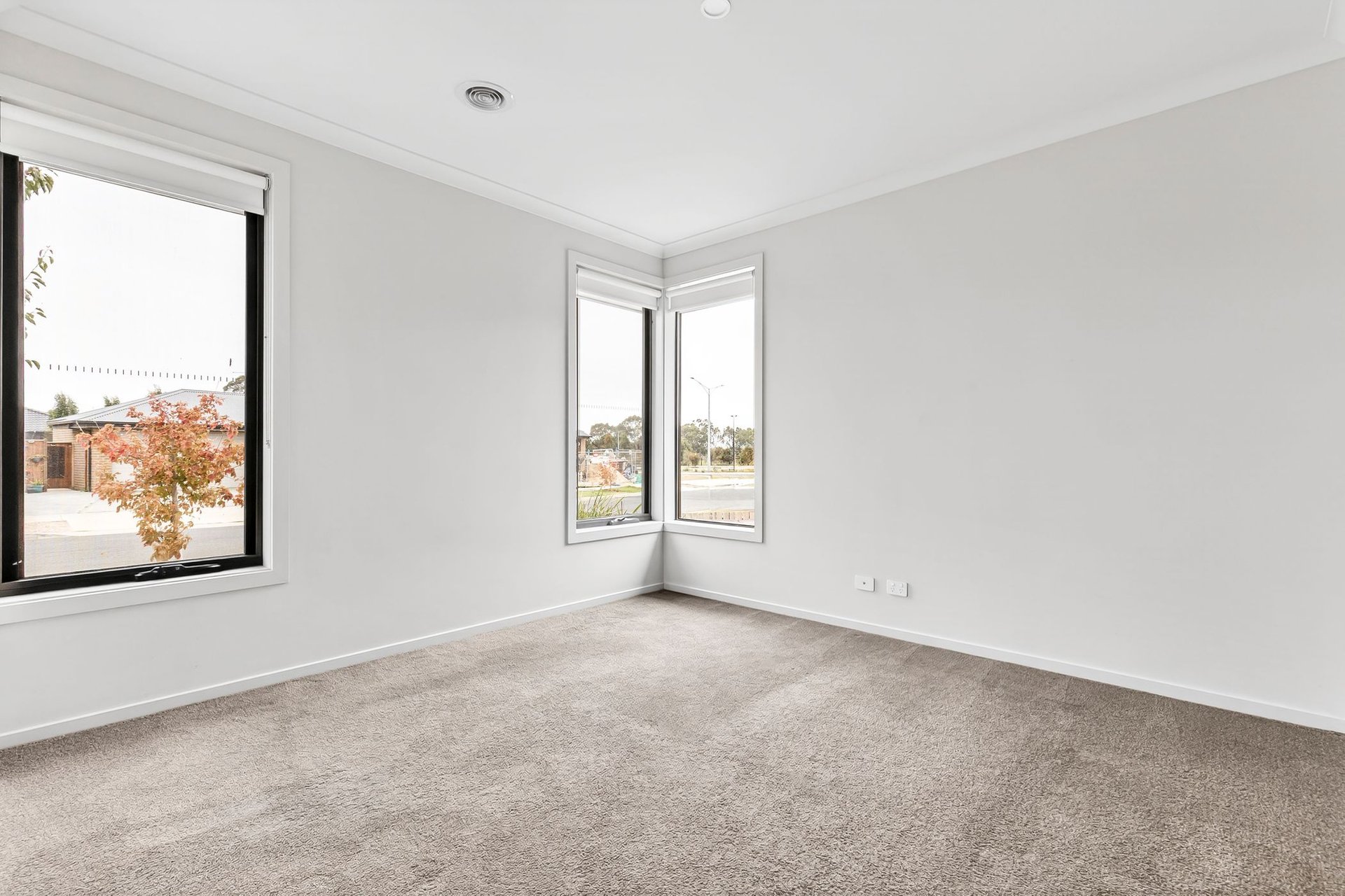 11 Tywin Street, Charlemont image 3