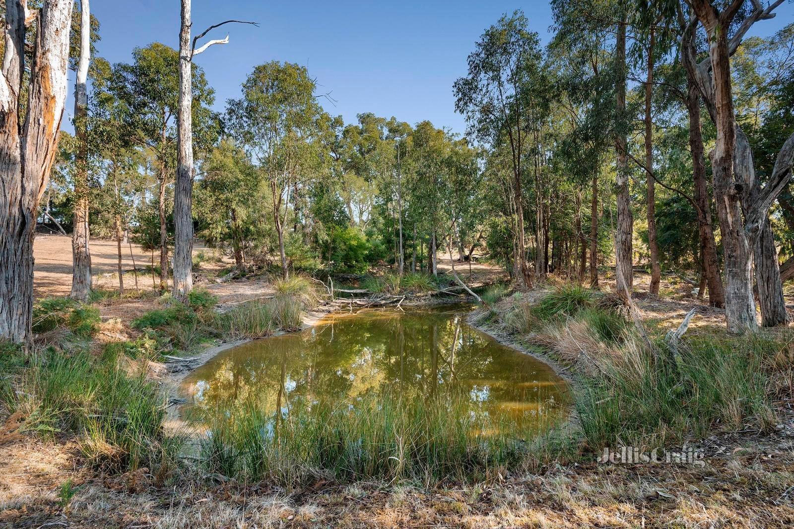 11 Waycott Way, Mount Evelyn image 20