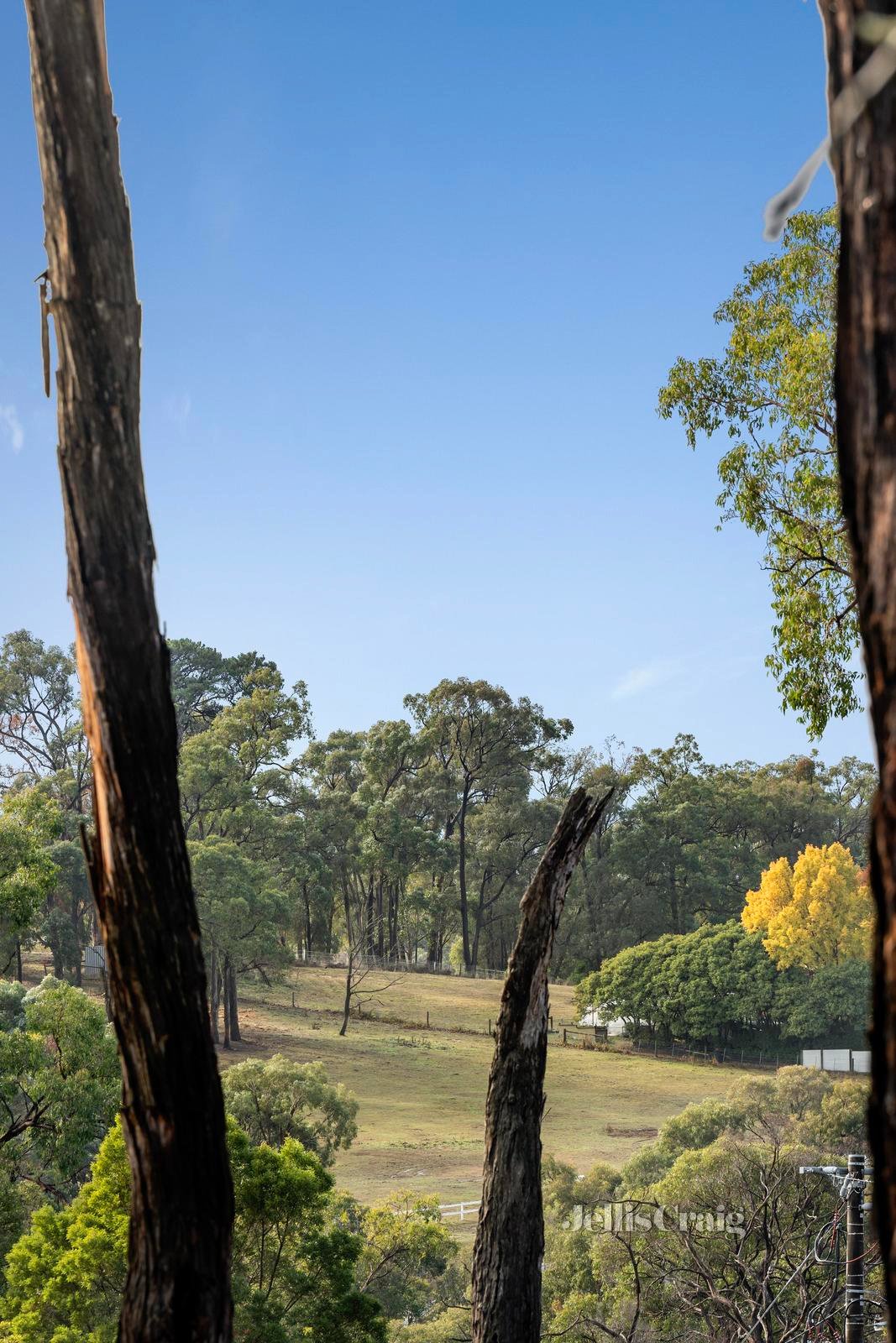 11 Waycott Way, Mount Evelyn image 25