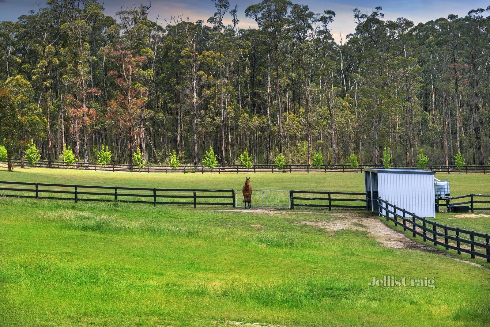 110 Glenwood Drive, Castella image 32