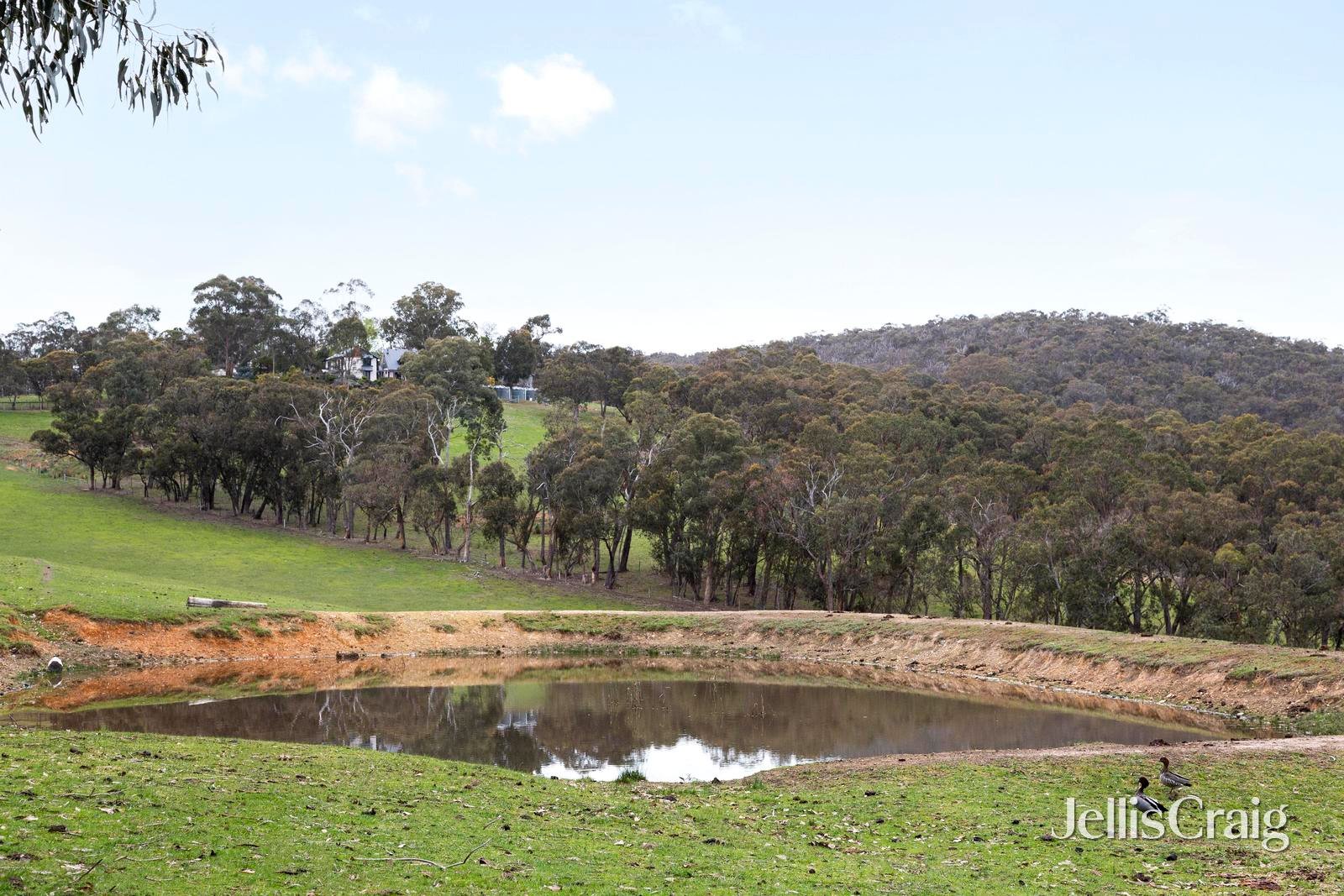 110 One Tree Hill Road, Smiths Gully image 24