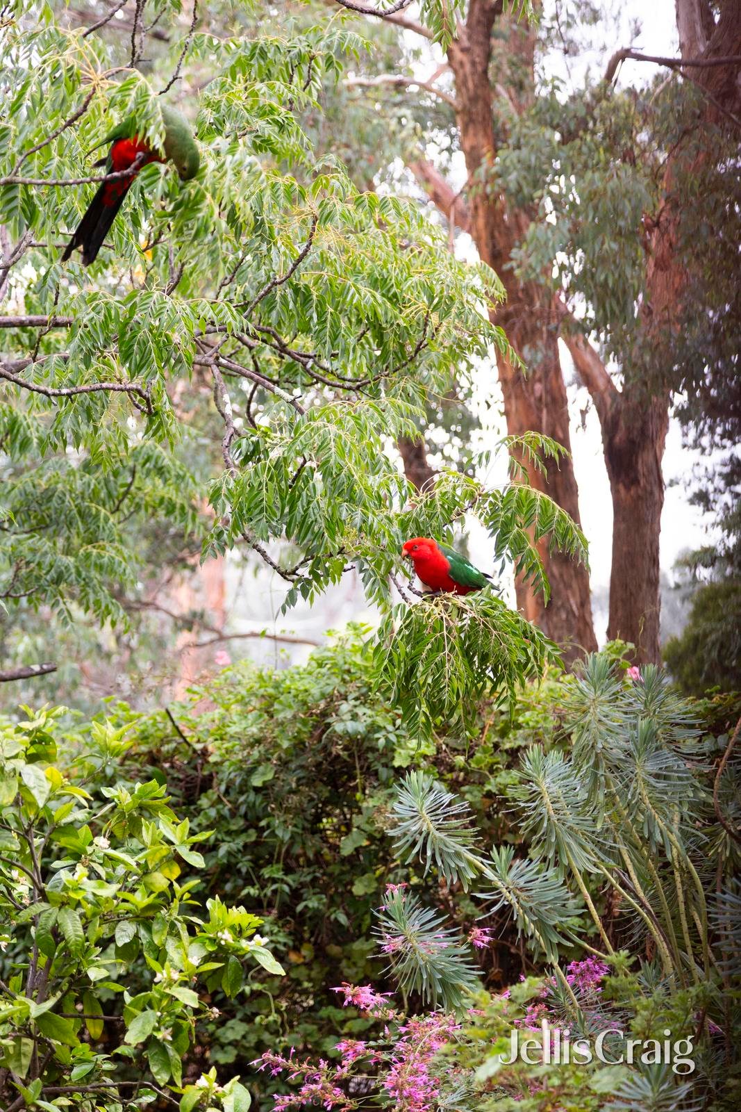 110 Ryans Road, Eltham&nbsp;North image 19