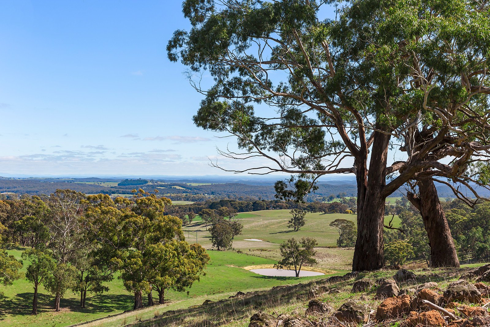 1101 Daylesford-Malmsbury Road, Glenlyon image 15