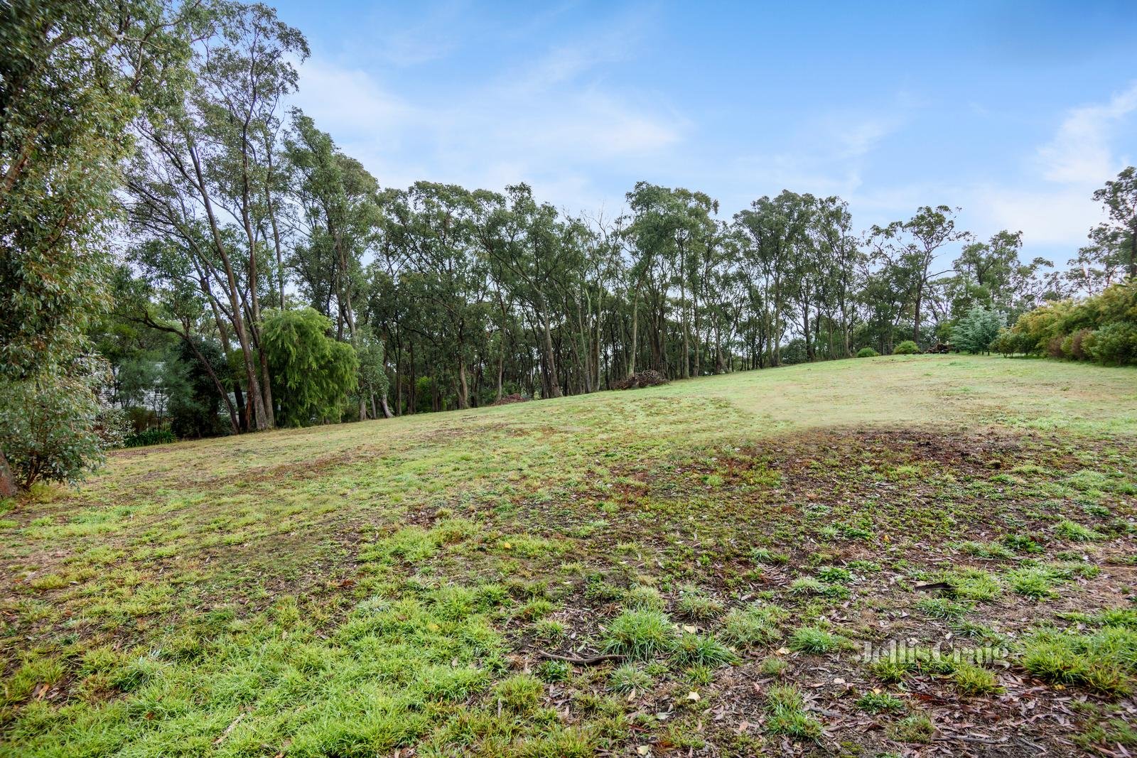 111 Elizabeth Street, Buninyong image 18