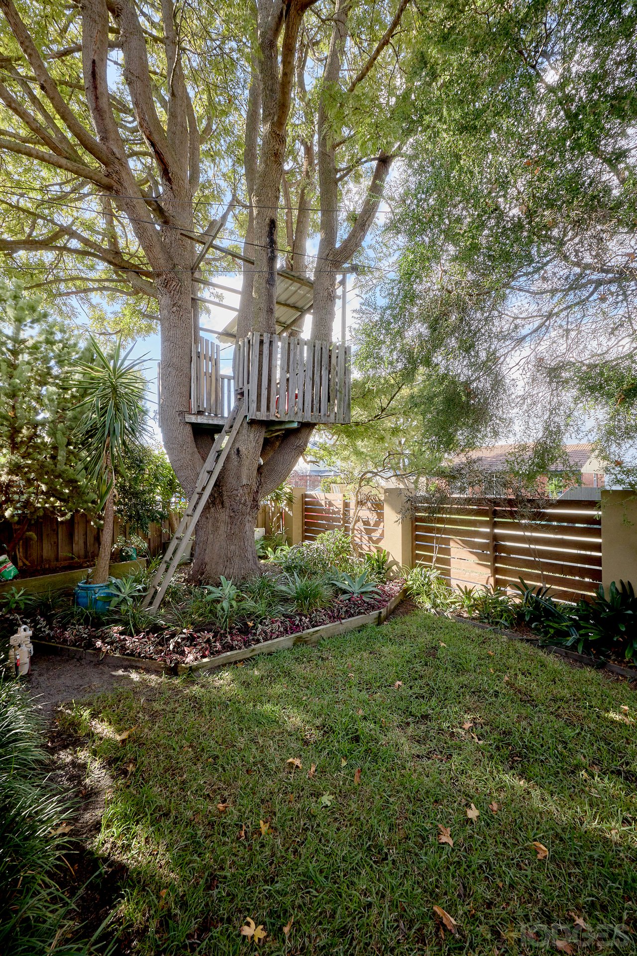 1 / 11 Molong Avenue Highett