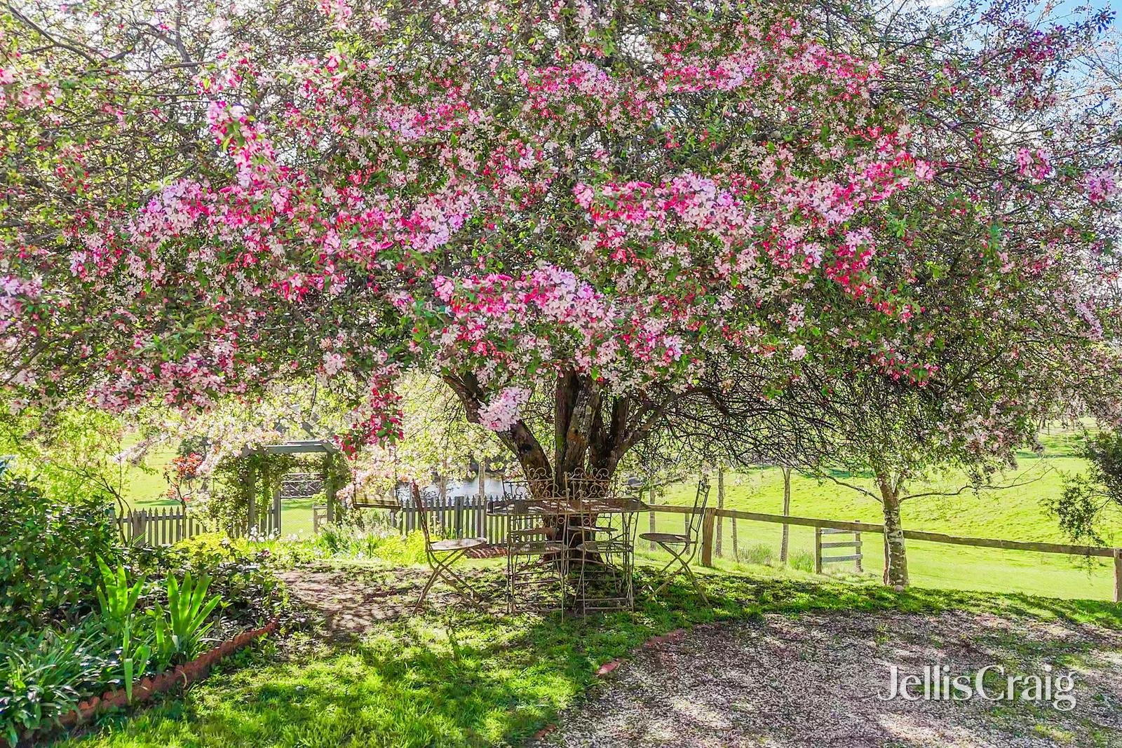111 Muntzs Road, Woodend image 4