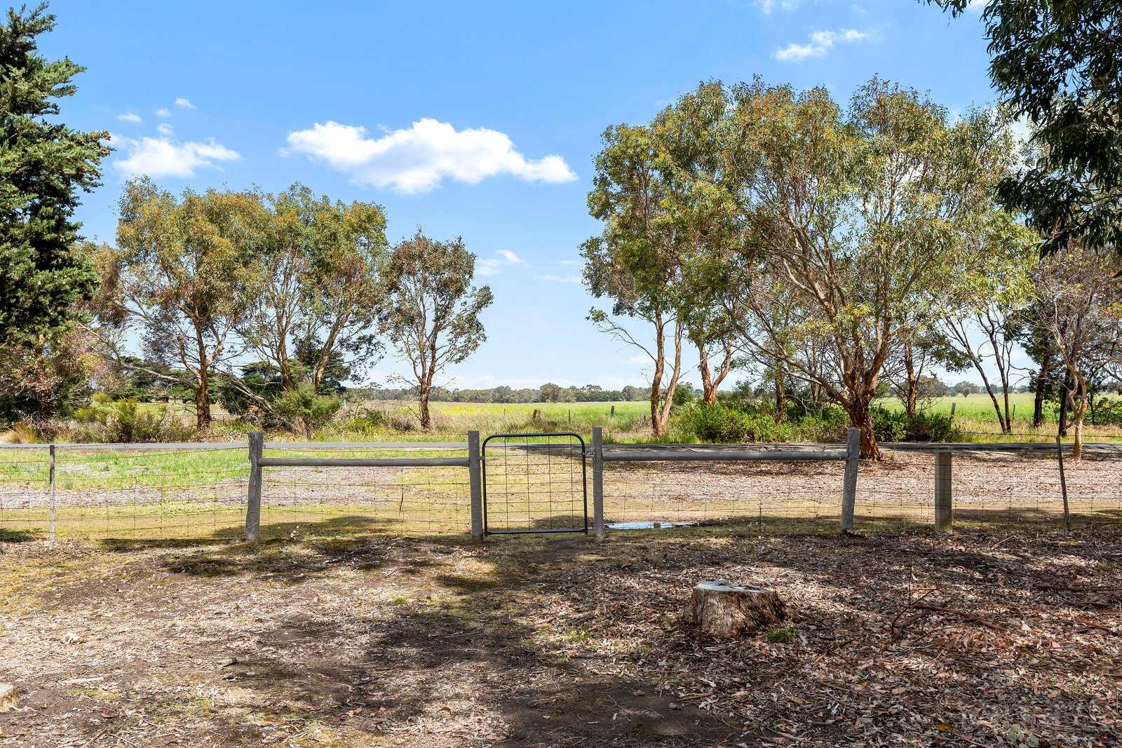 Property Gallery Thumbnail 19