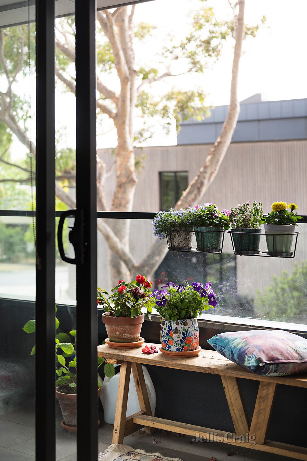 111/21 Rex Avenue, Alphington image 3