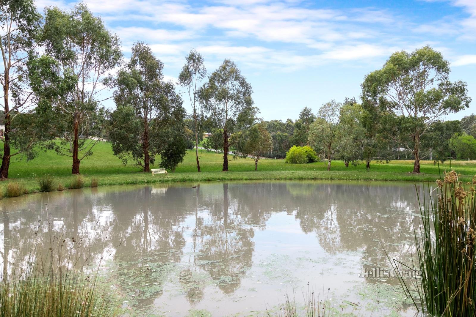 1116 Lal Lal Street, Buninyong image 6