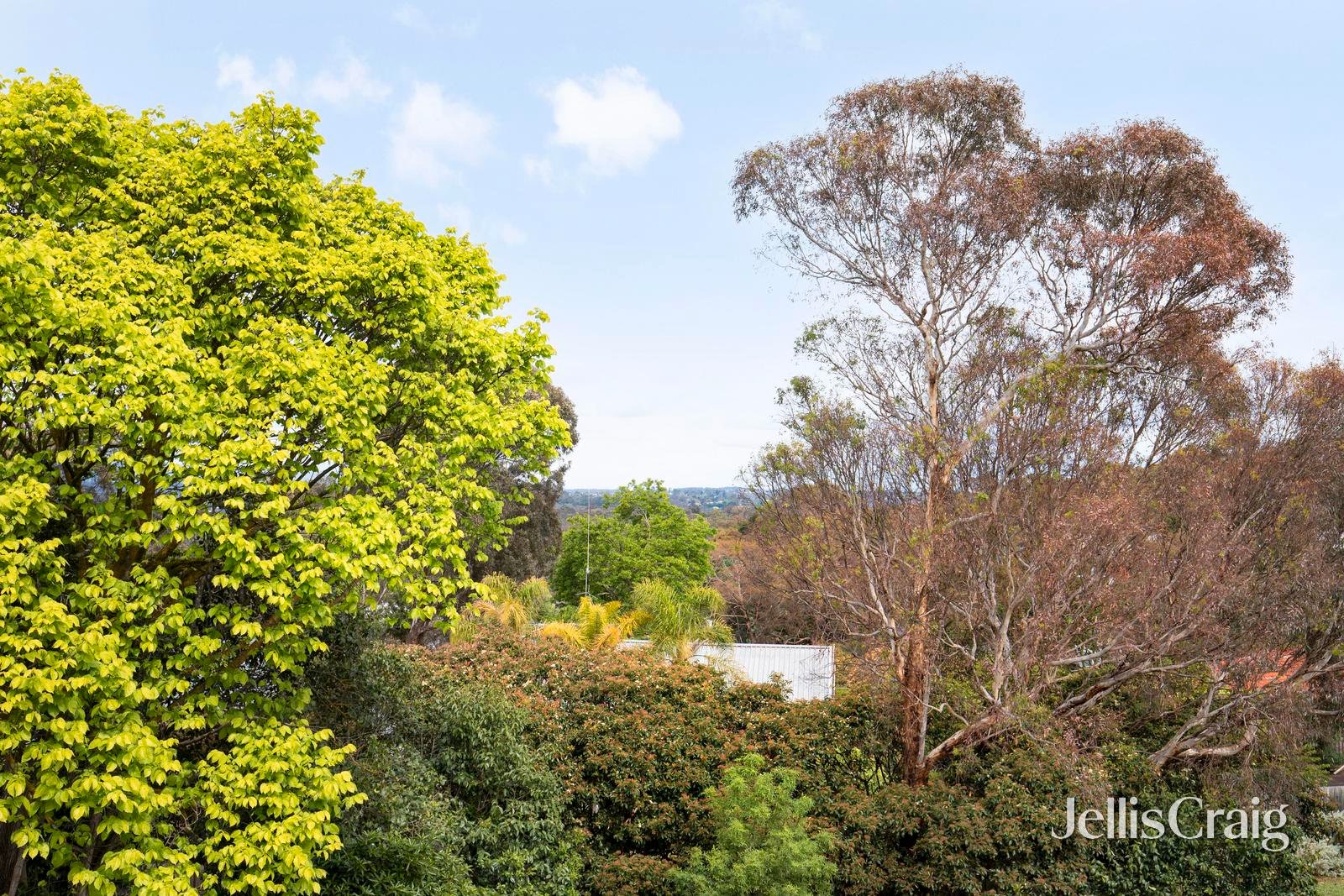 11/2 Grand Boulevard, Montmorency image 12