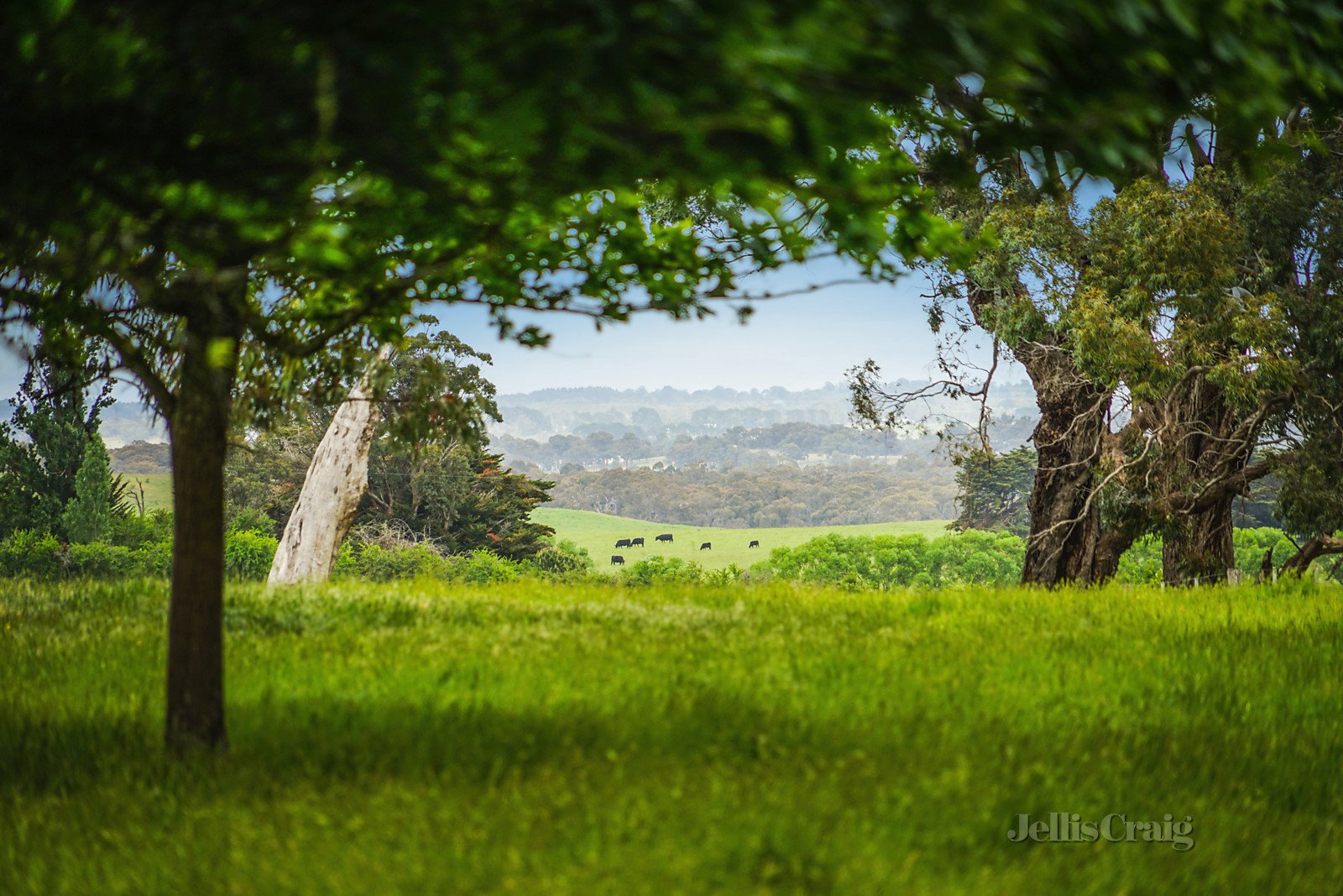 112 Harpers Lane, Kyneton image 16