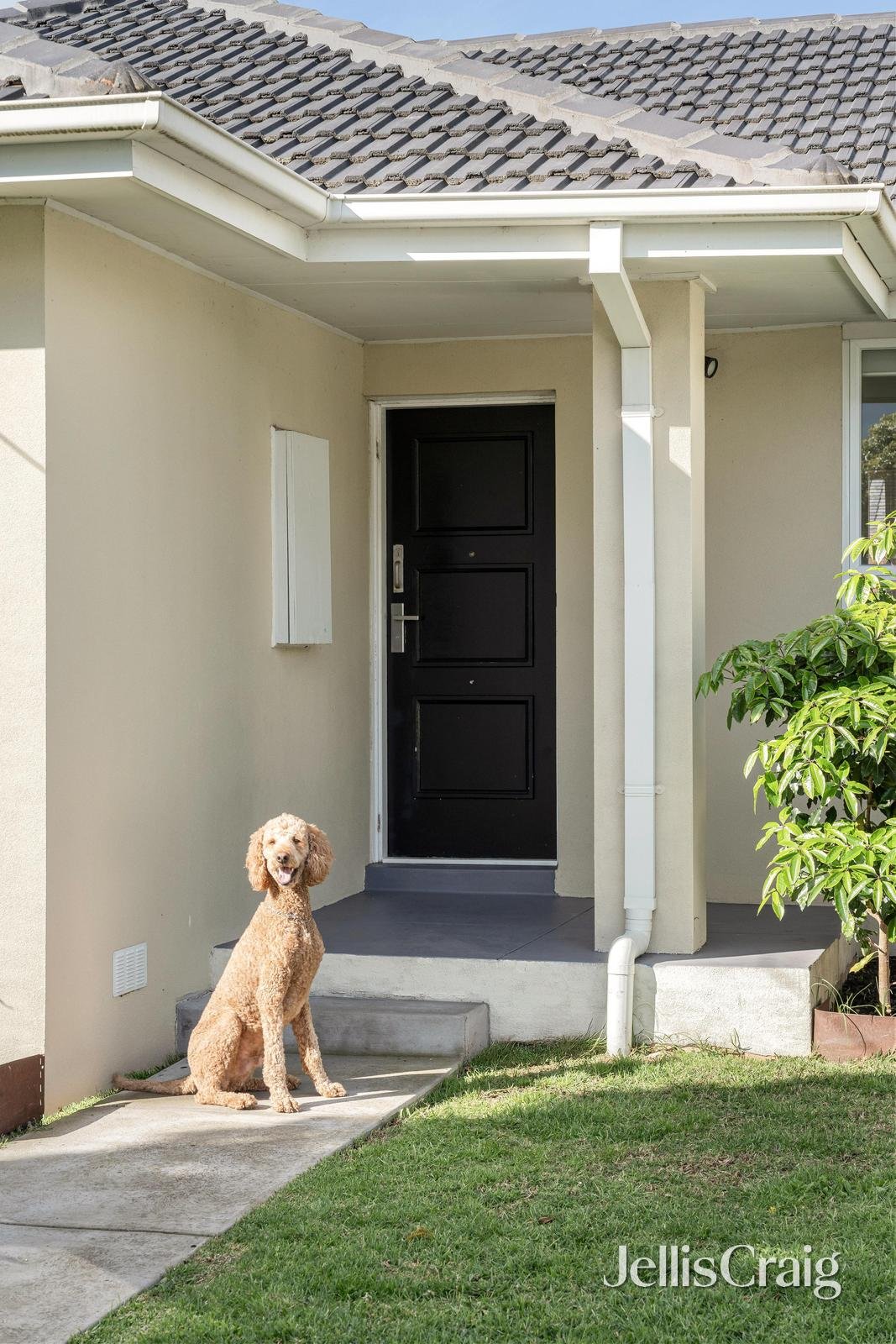 1/13 Bridges Avenue, Edithvale image 2
