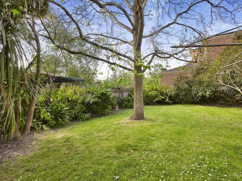 113 Broughton Road, Surrey Hills image 4