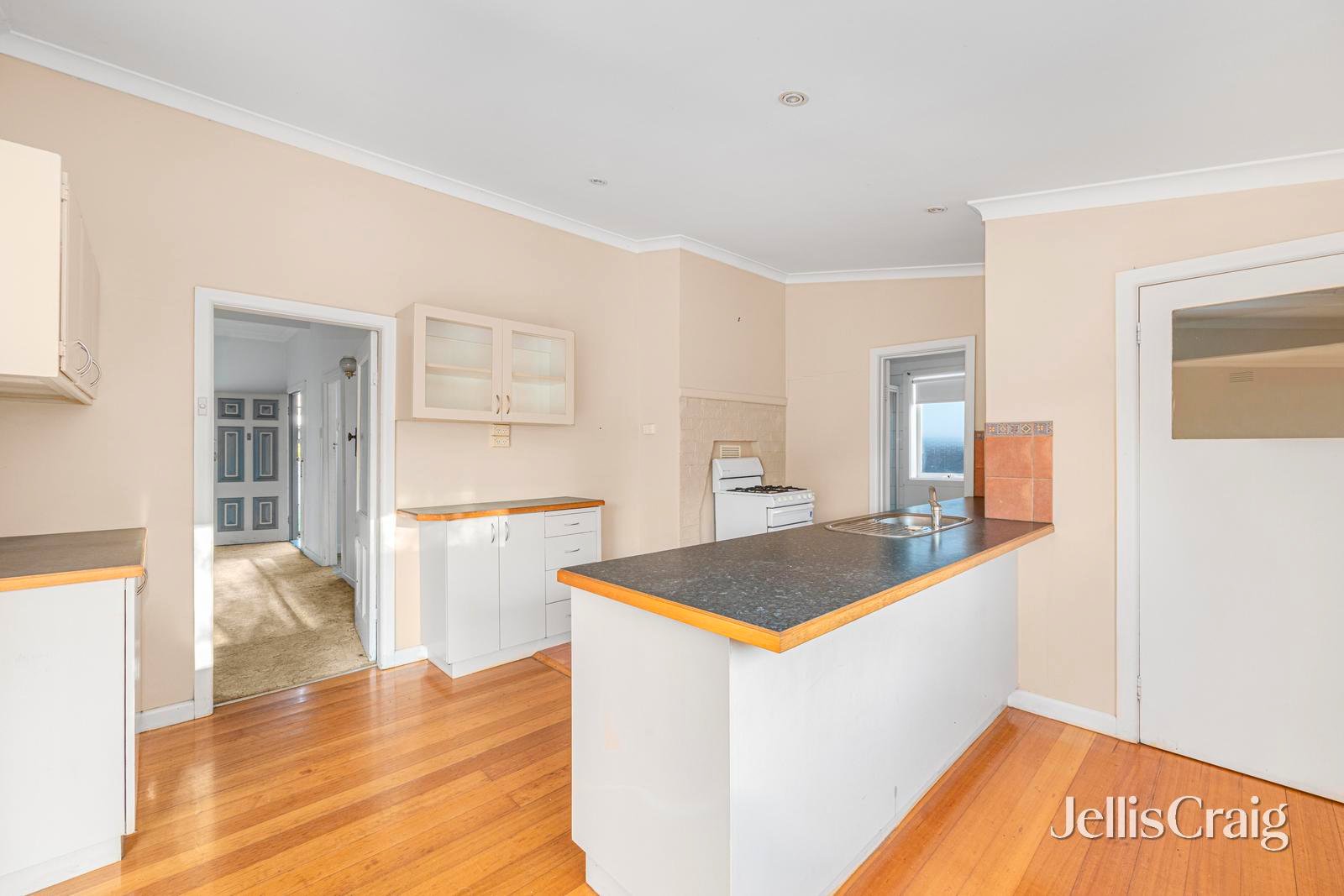 113 Clyde Street, Soldiers&nbsp;Hill image 5
