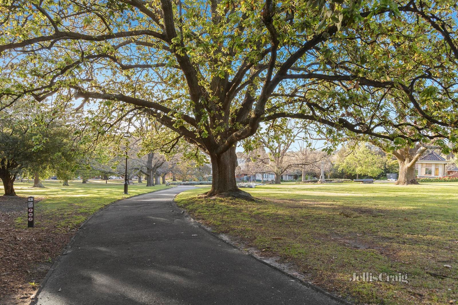 1/13 Scheele Street, Surrey Hills image 7