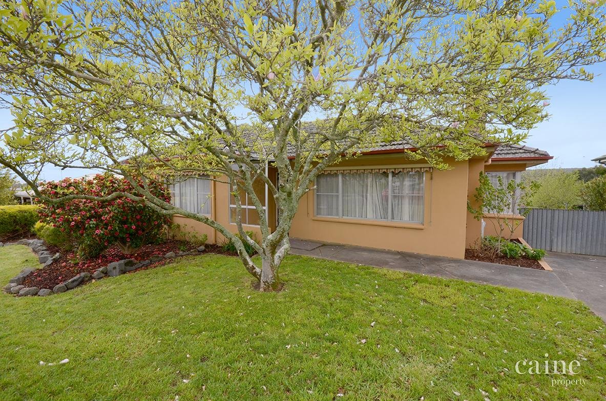 1/1335 Geelong Road, Mount Clear image 2