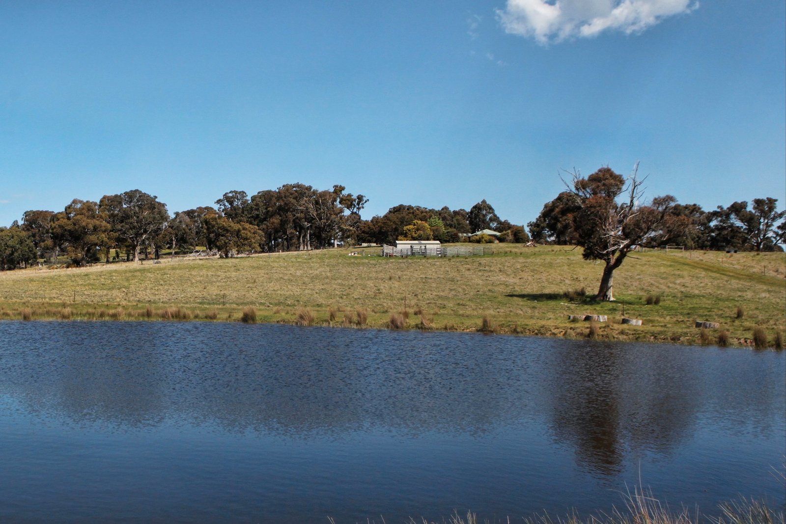 Property Gallery Thumbnail 22