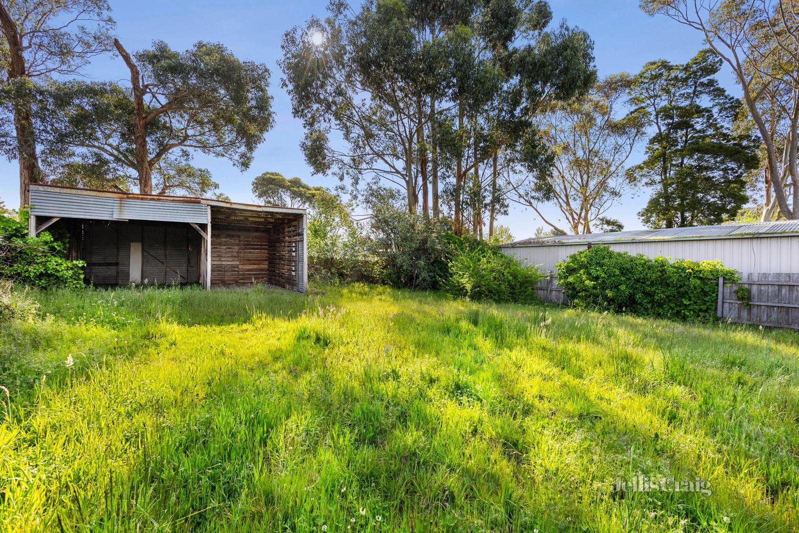 1136 Geelong Road, Mount Clear image 12