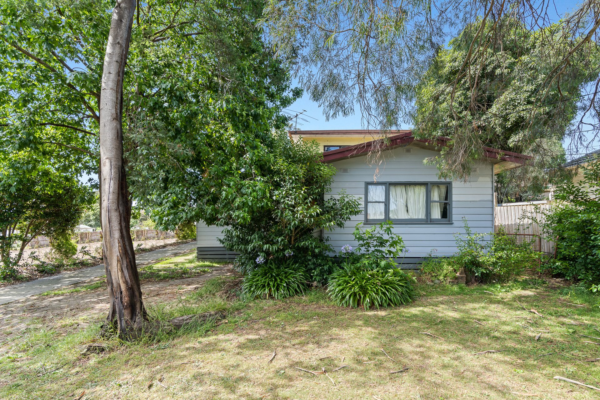 115 Brunswick Road, Mitcham image 2