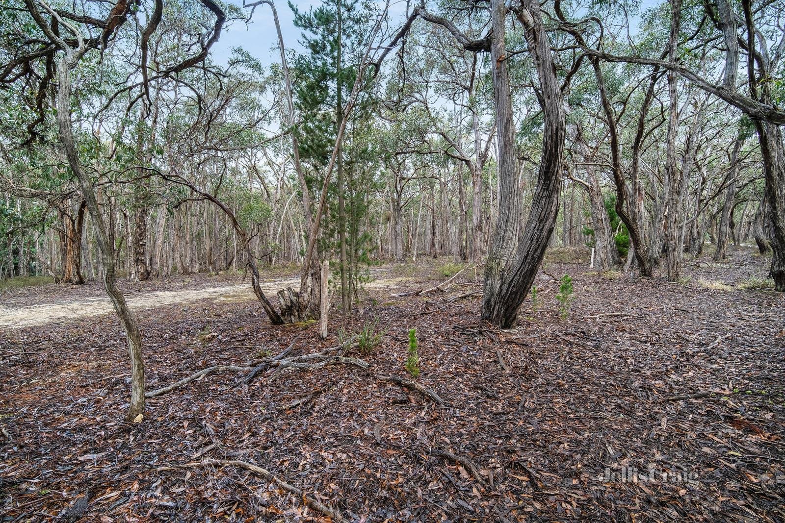 115 Rowlers Road, Snake Valley image 3