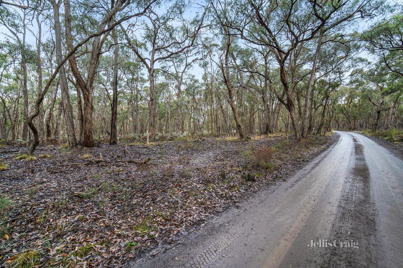 115 Rowlers Road, Snake Valley image 4