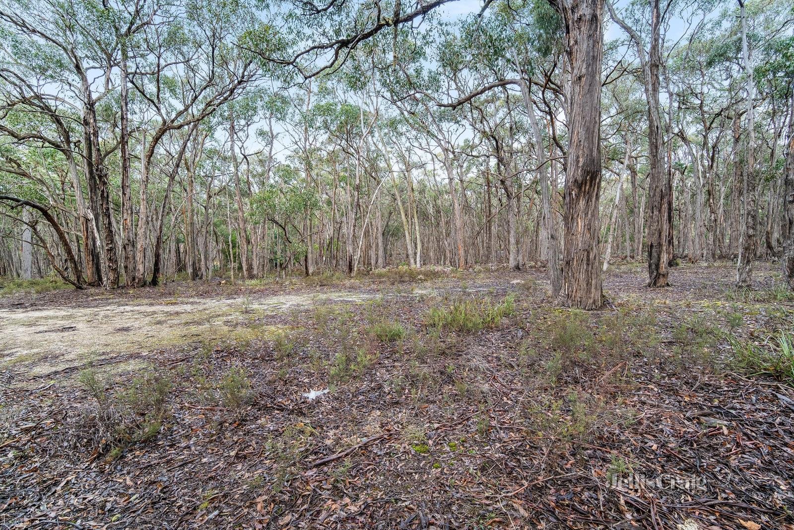 115 Rowlers Road, Snake Valley image 5