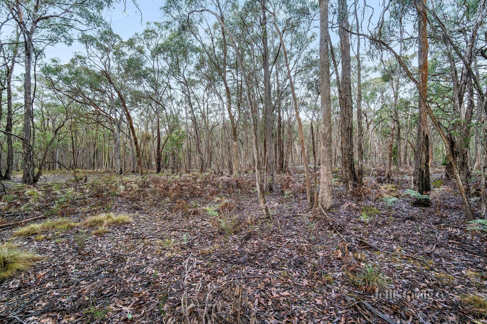 115 Rowlers Road, Snake Valley image 7