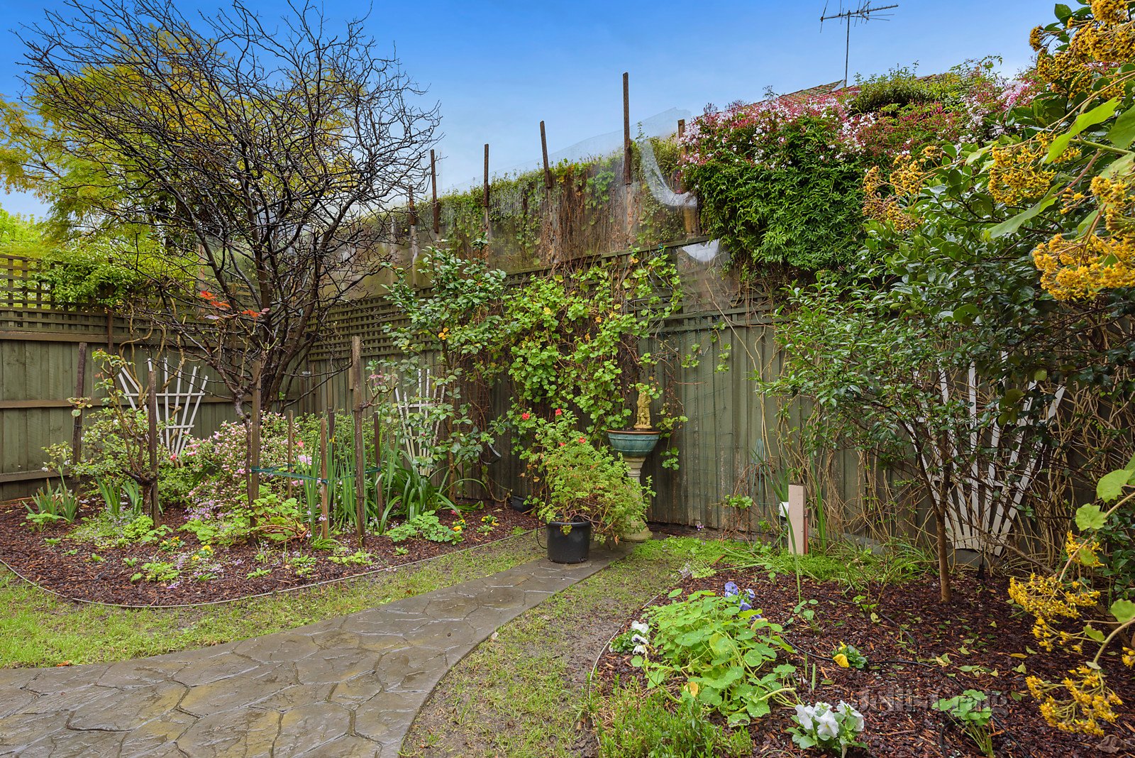 1/15 Scott Grove, Glen Iris image 9