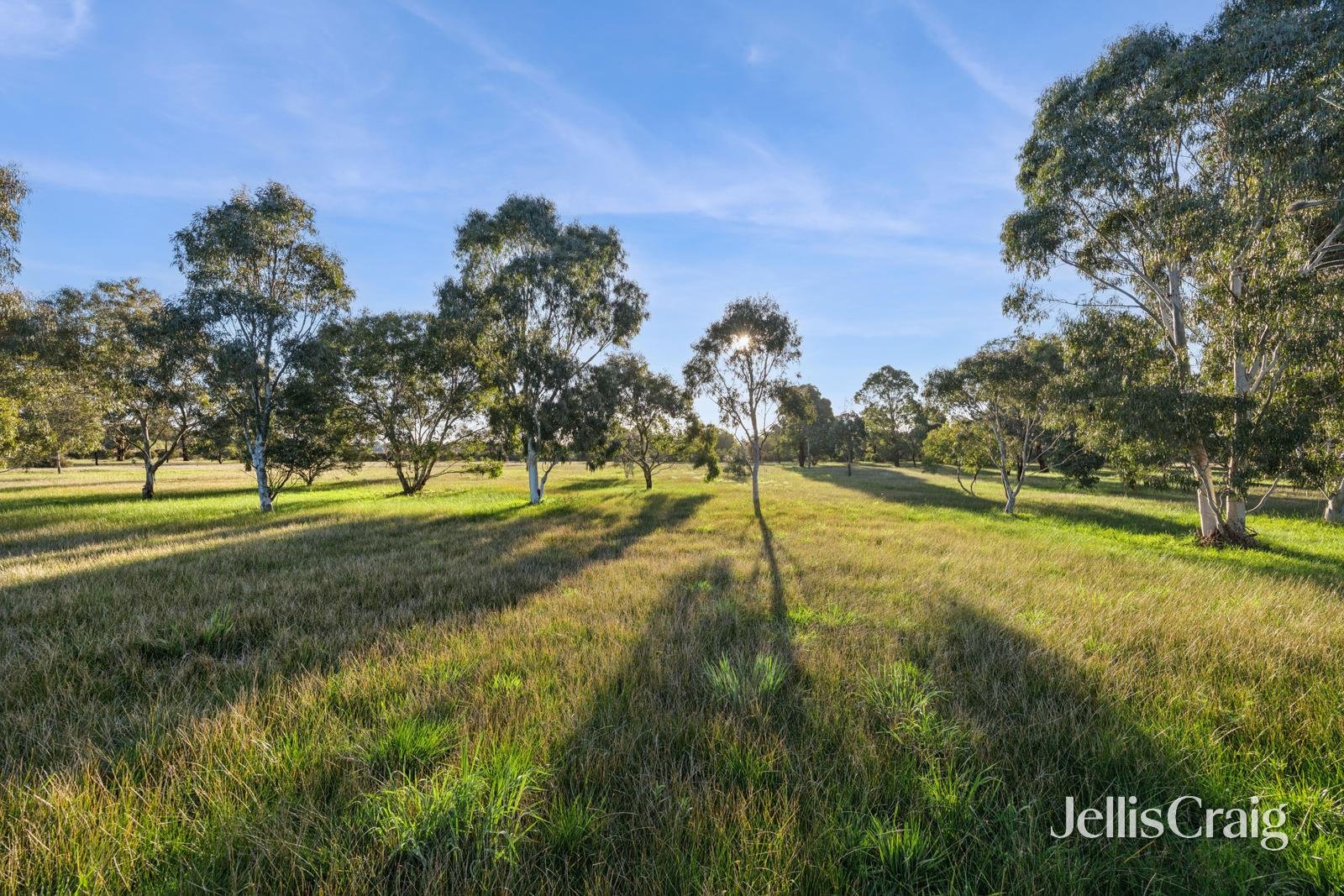 115 Tom Jones Road, Ross&nbsp;Creek image 11