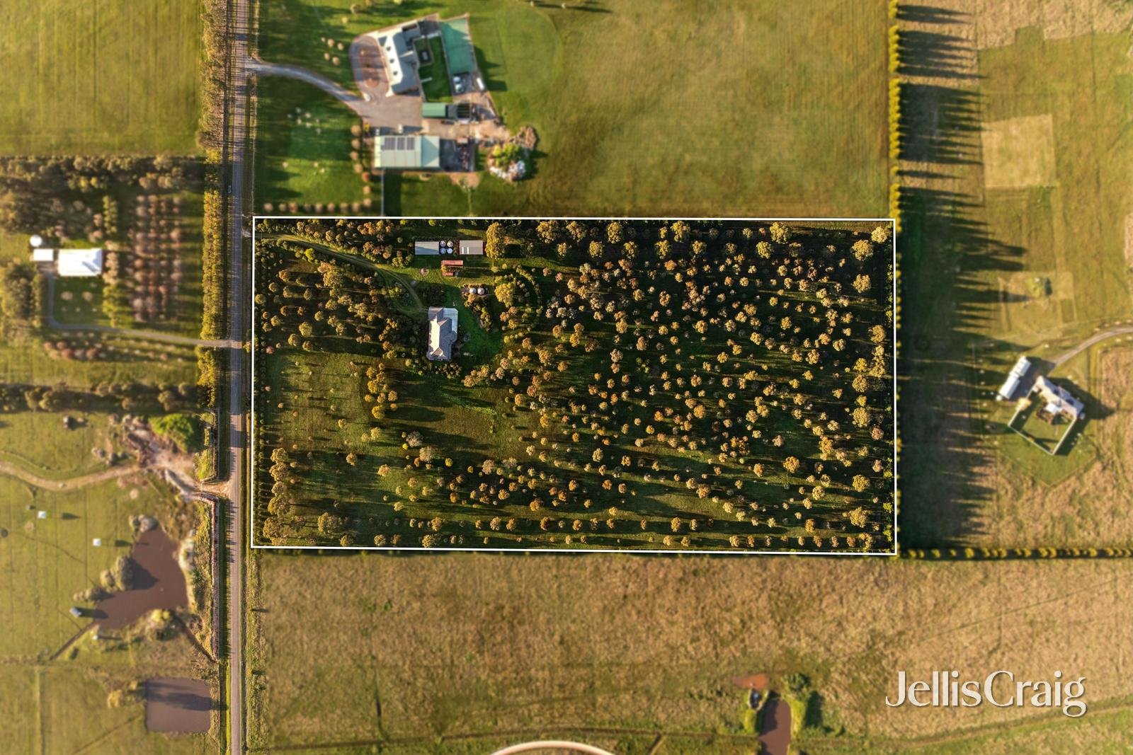 115 Tom Jones Road, Ross&nbsp;Creek image 12