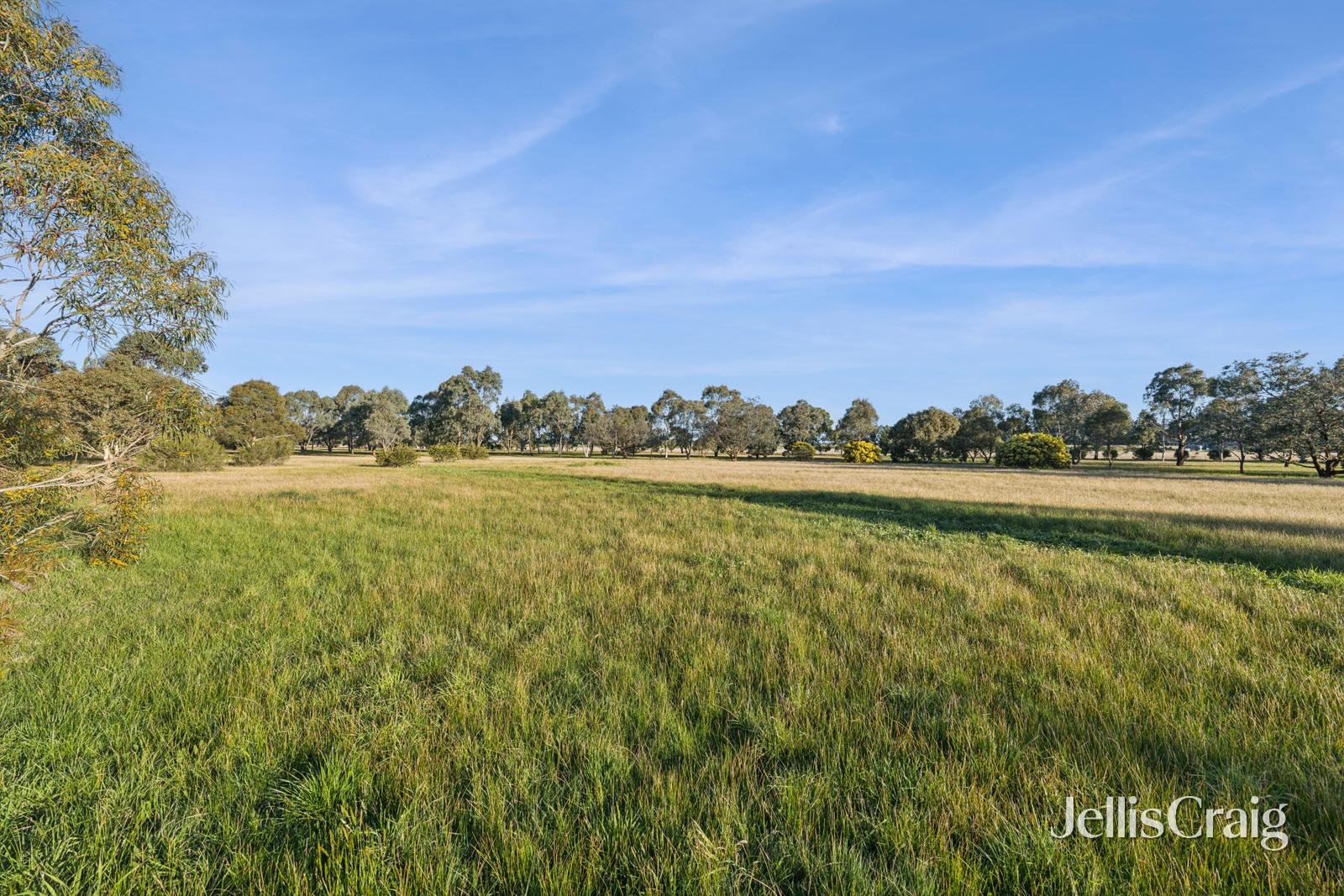 115 Tom Jones Road, Ross&nbsp;Creek image 14