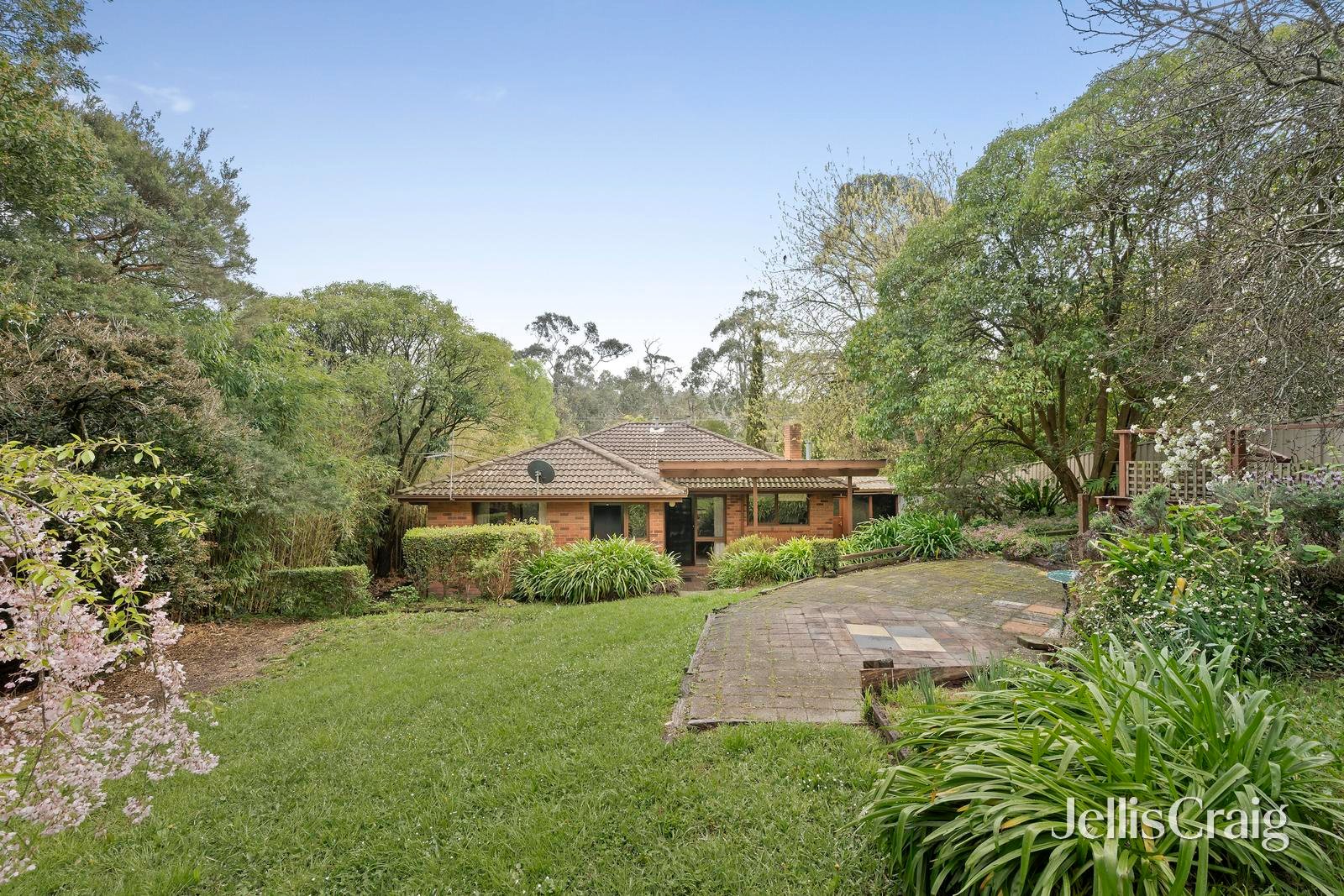 115 York Road, Mount Evelyn image 12