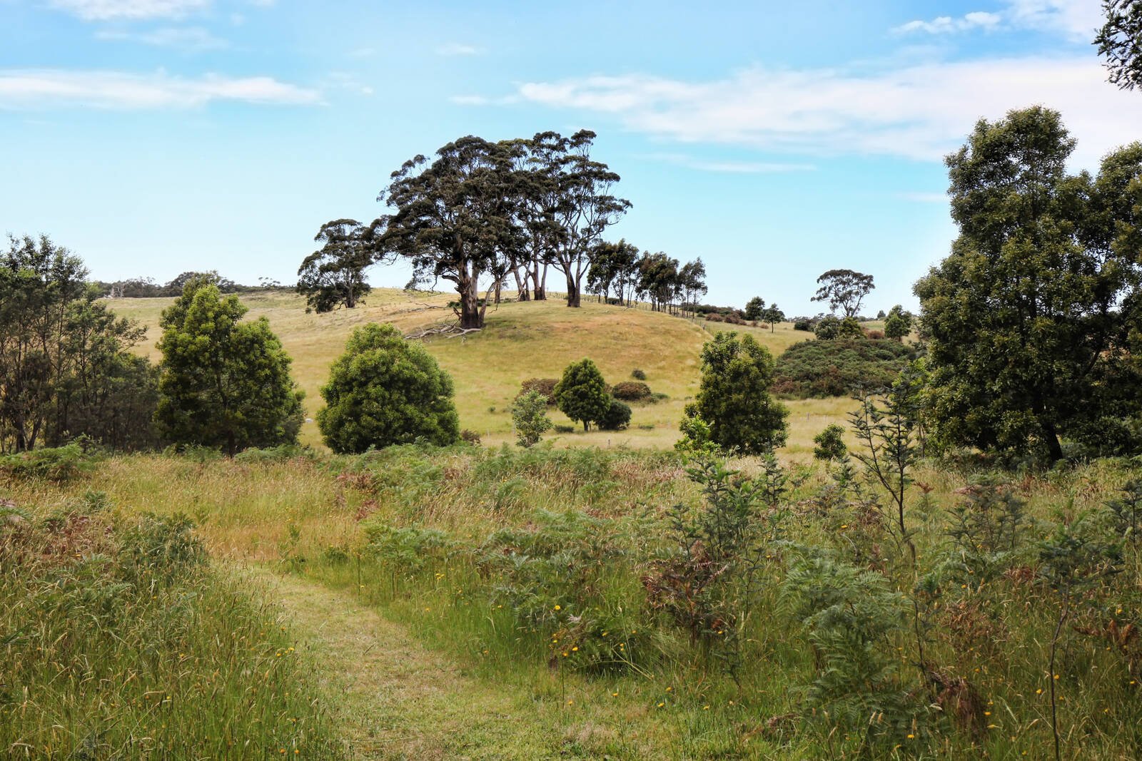 Property Gallery Thumbnail 13