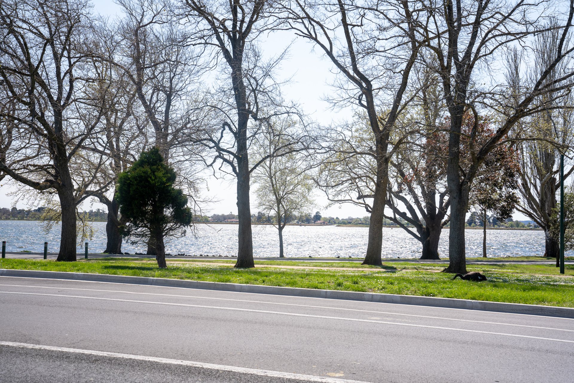 1/157 Wendouree Parade, Lake Wendouree image 9