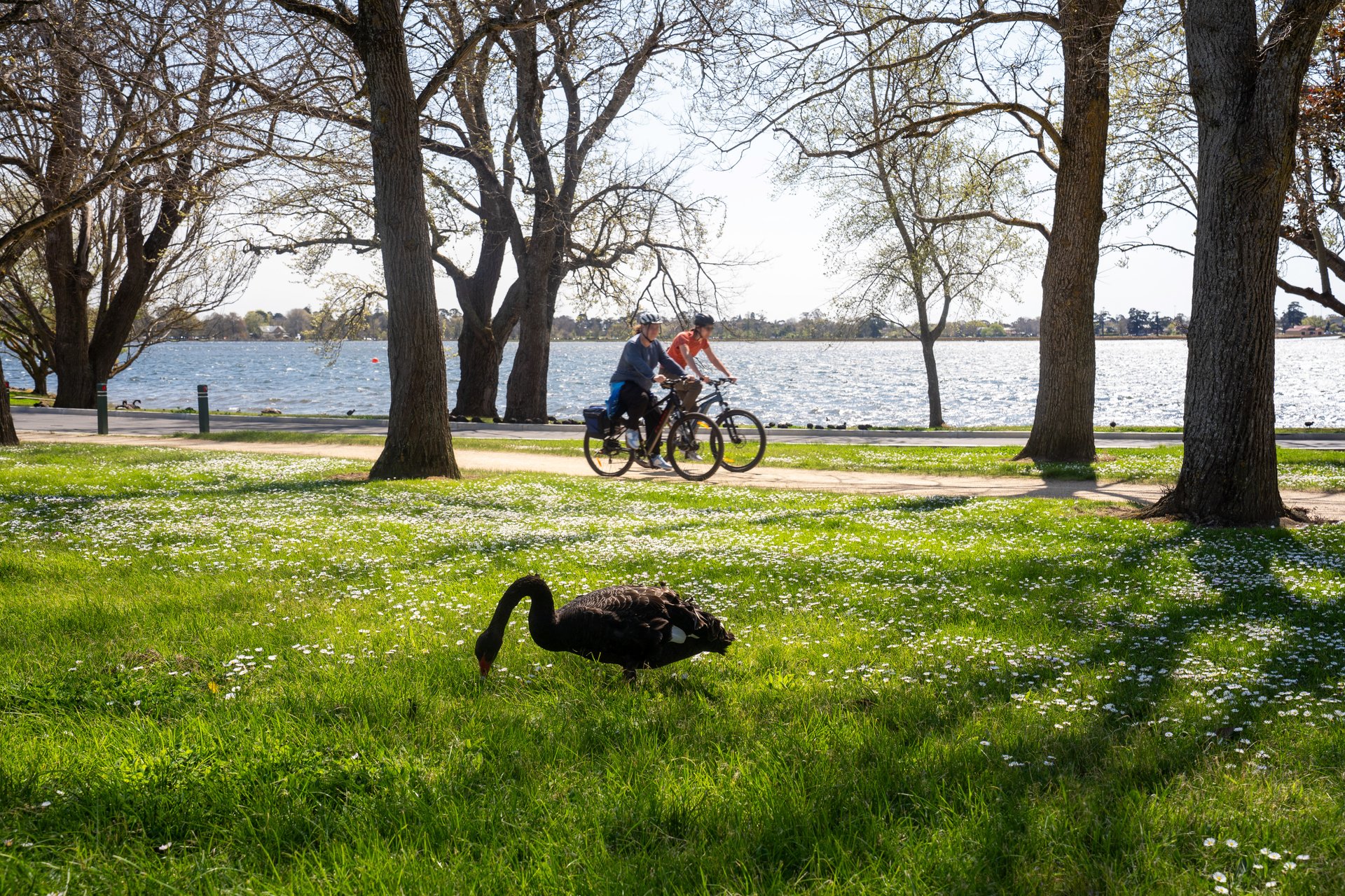 1/157 Wendouree Parade, Lake Wendouree image 10