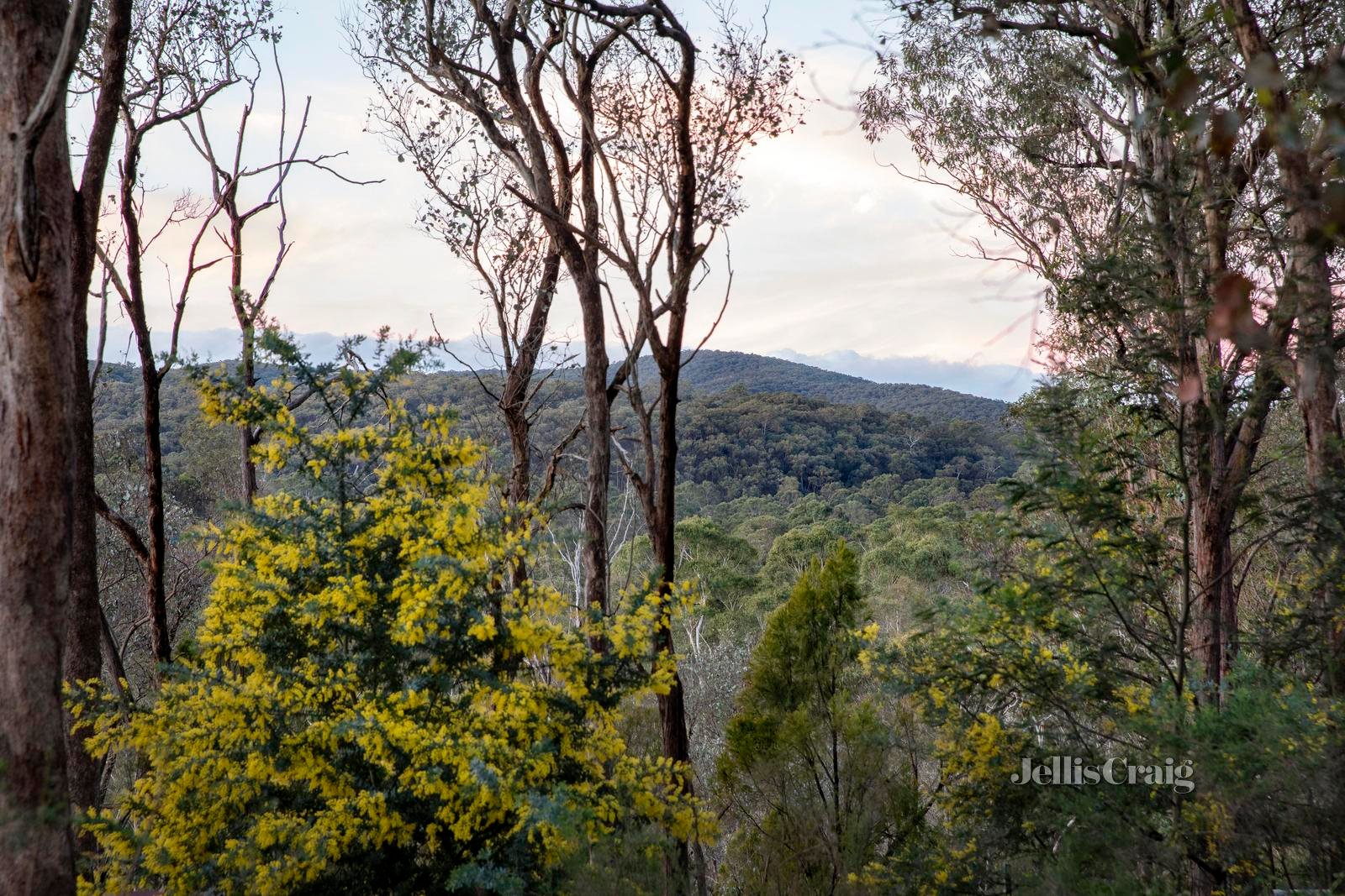 1158 Eltham Yarra Glen Road, Christmas Hills image 12