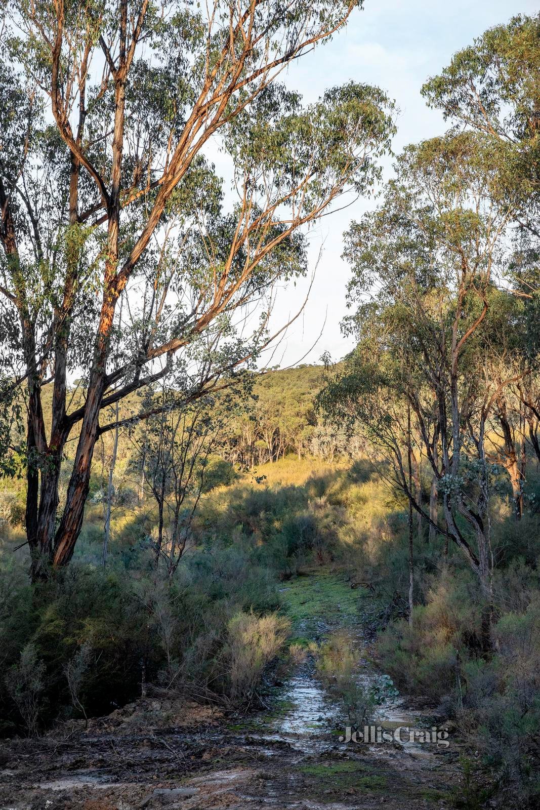 1158 Eltham Yarra Glen Road, Christmas Hills image 14