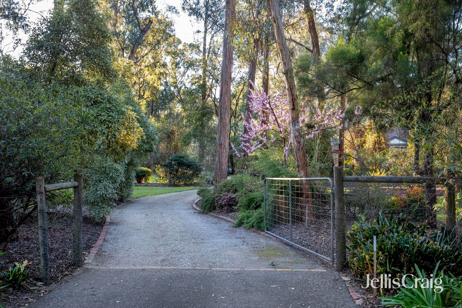 116 Bradleys Lane, North Warrandyte image 7