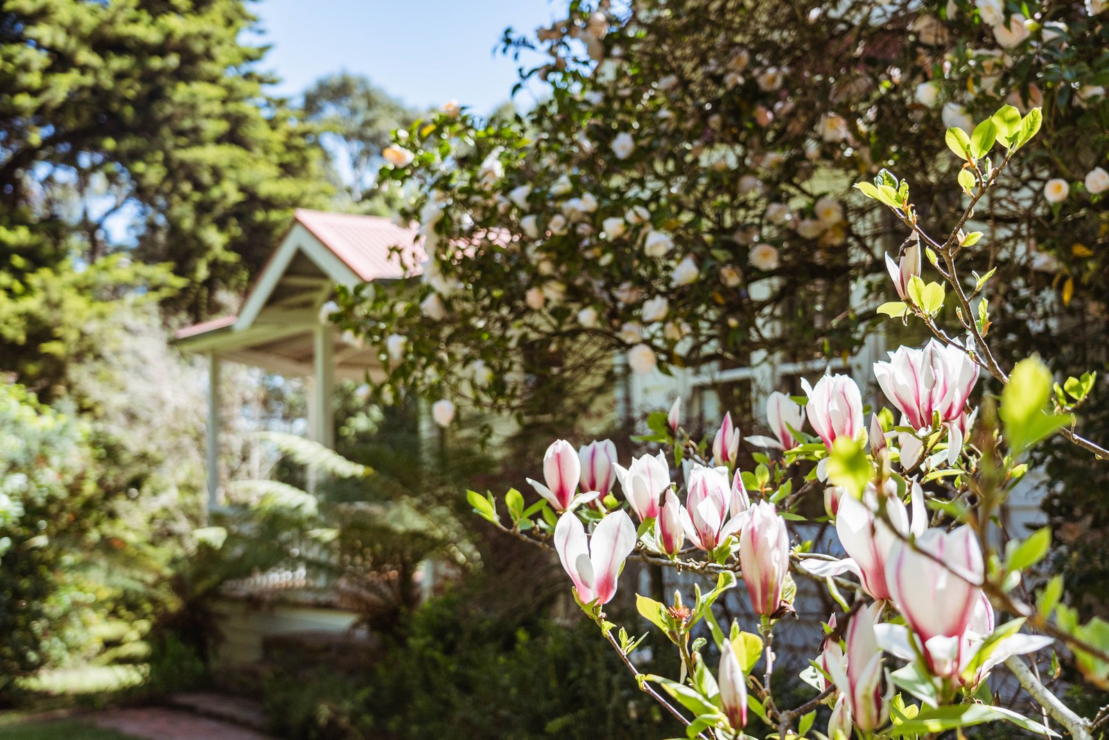 Property Gallery Thumbnail 4