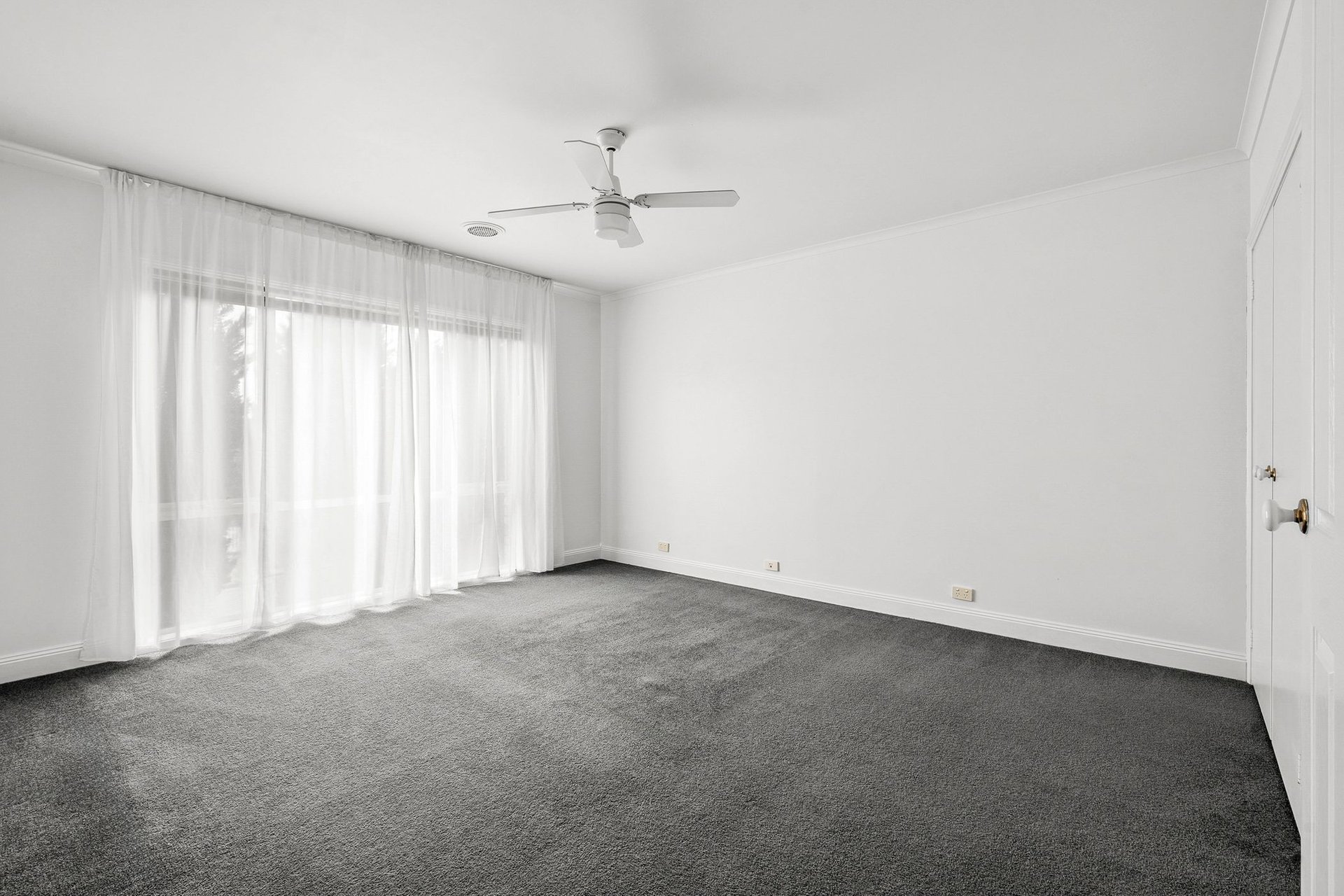 117 Gertrude Street, Geelong West image 5