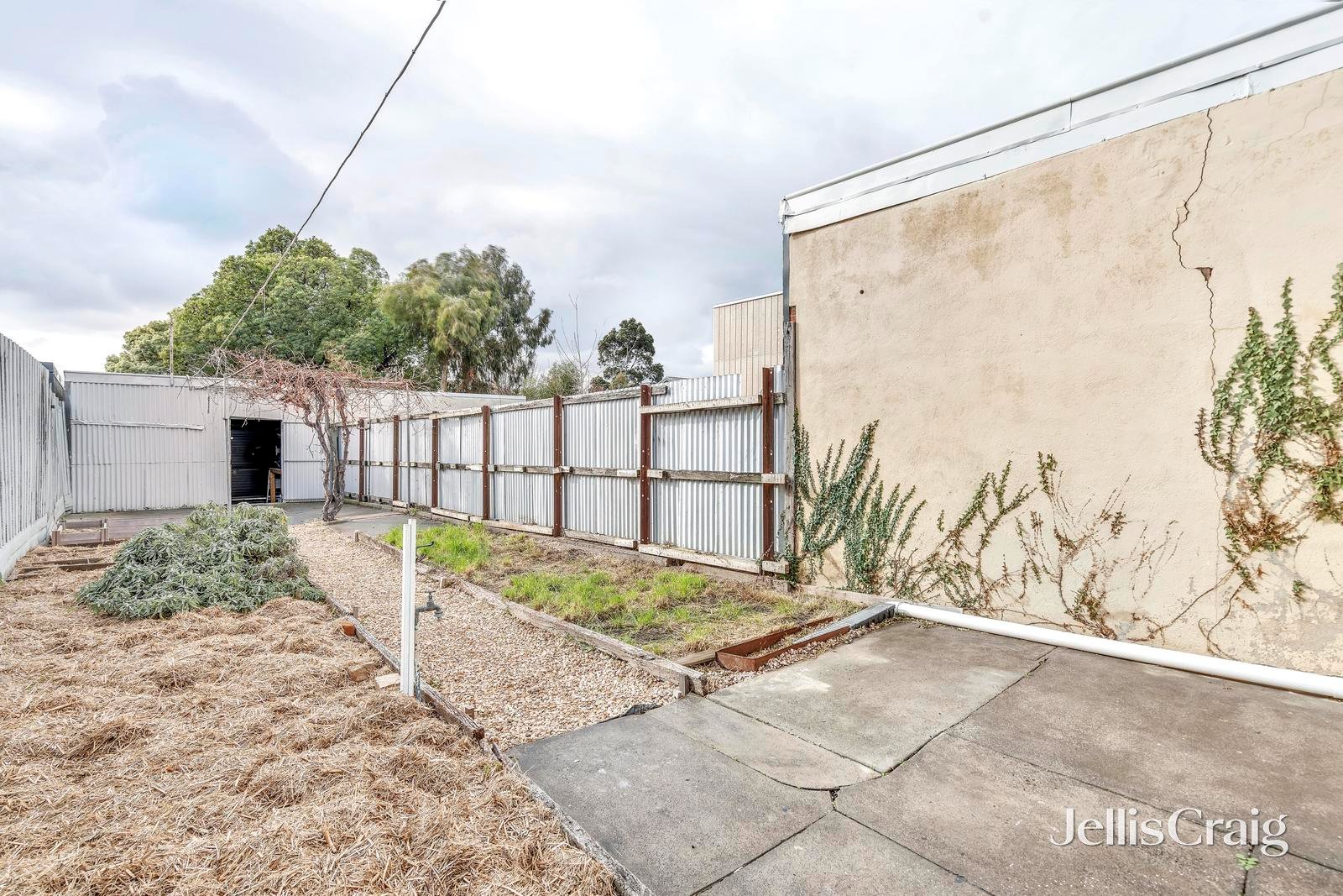 117 Mitchell Street, Brunswick image 9