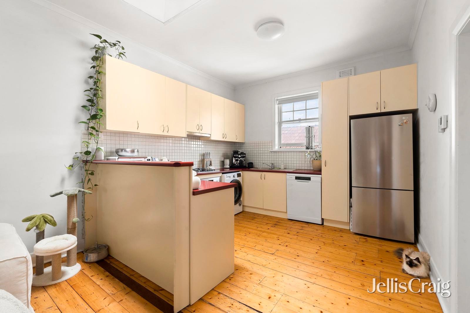 1/17 Ormond Road, Elwood image 5