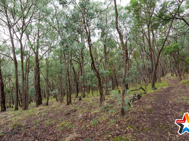 118 Wallace Road, Christmas Hills image 15