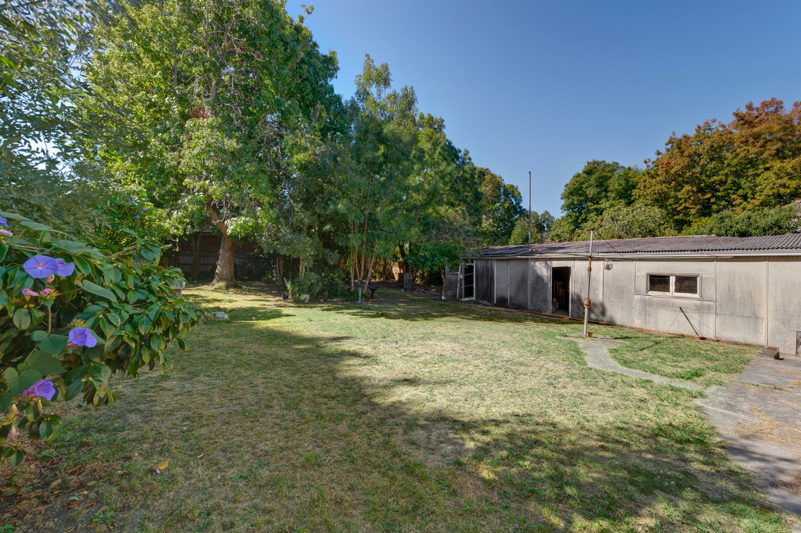1181 Riversdale Road, Box Hill South image 6