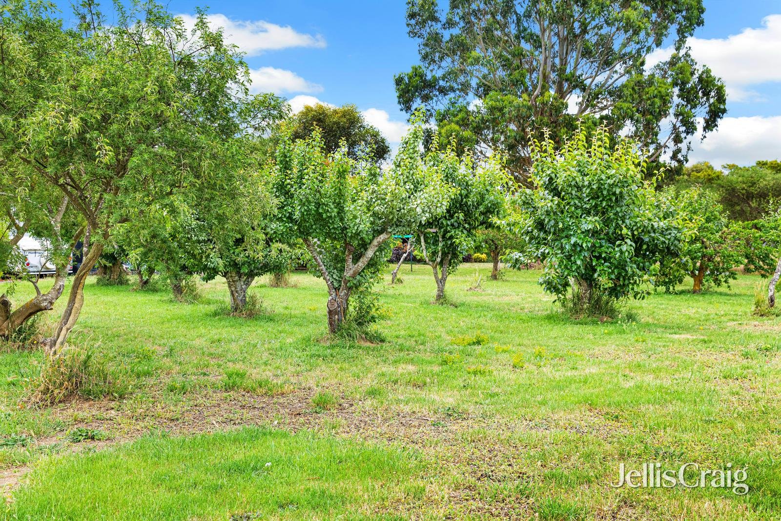 1188 Beaufort Waubra Road, Waubra image 16