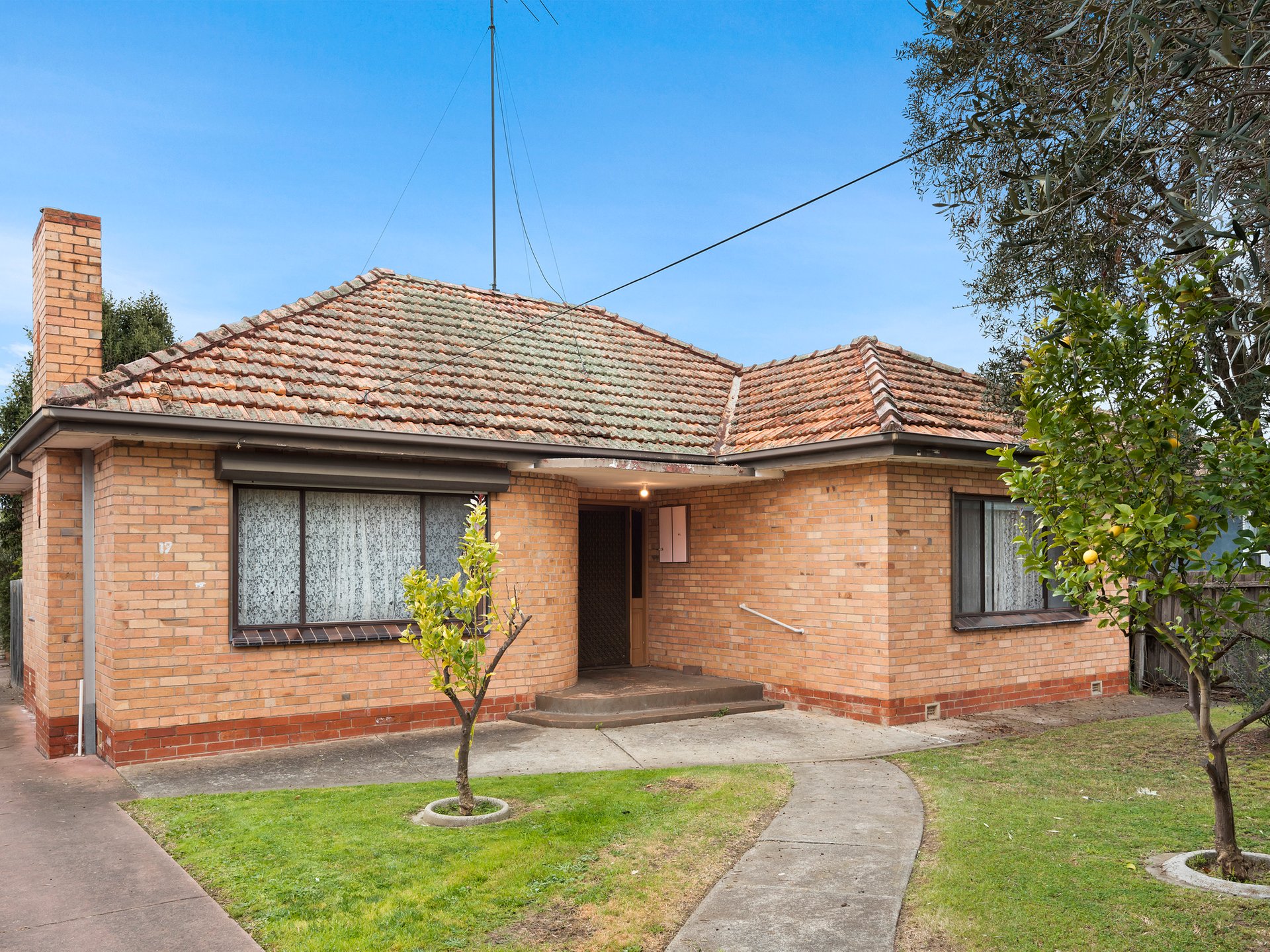 1/19 Synnott Street, Hamlyn Heights image 8