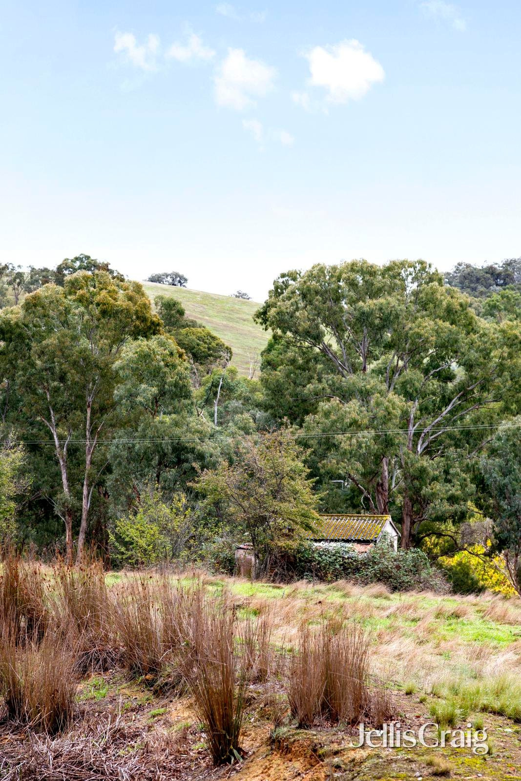 1190 Heidelberg Kinglake Road, Cottles&nbsp;Bridge image 24