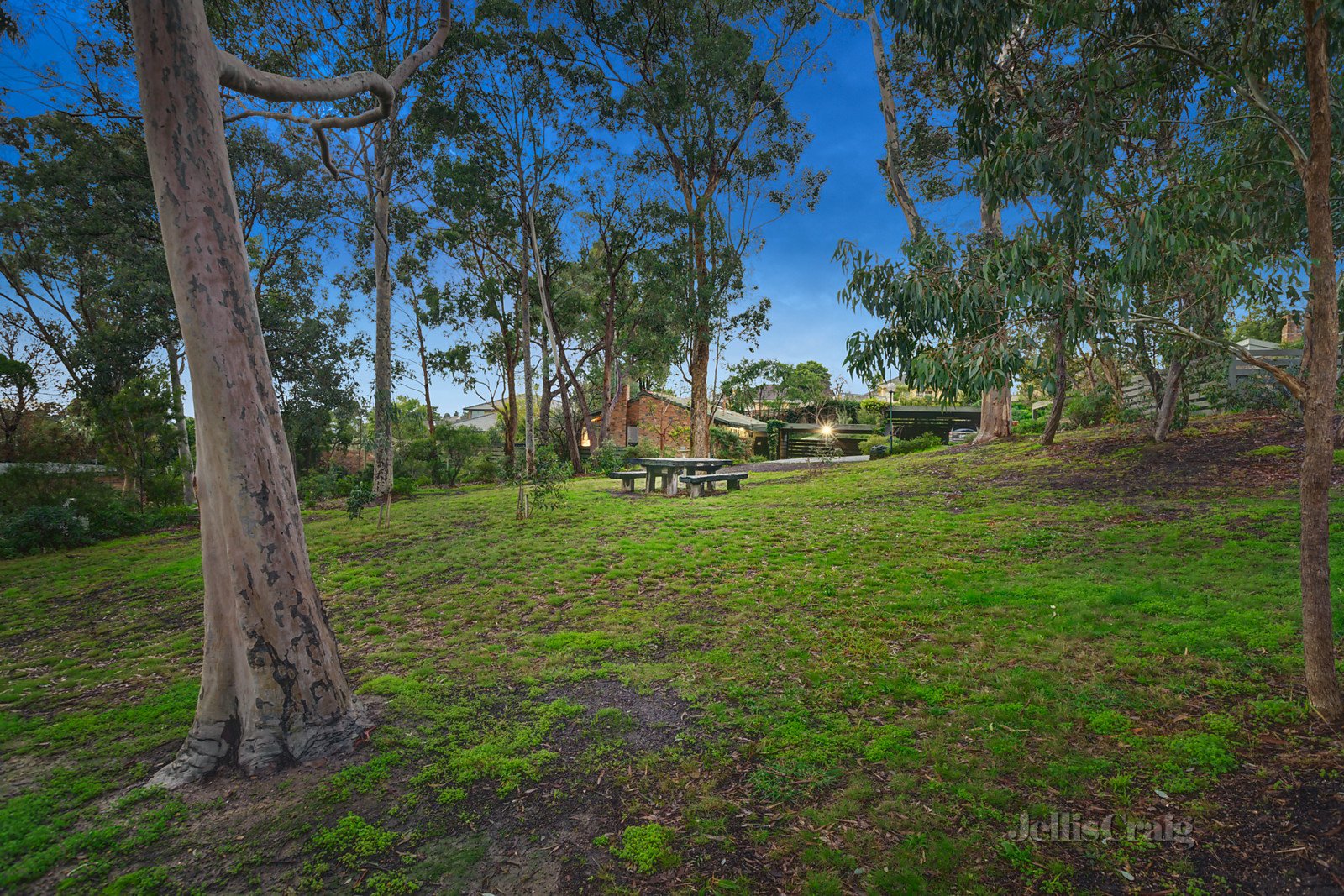 11A Timber Ridge, Doncaster image 10